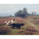 РЕПРОДУКЦИИ НА КАРТИНИ Пойнтер и сетер, дебнещи глухар (1870)